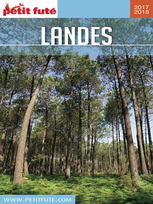 cover image of Landes 2017/2018 Petit Futé